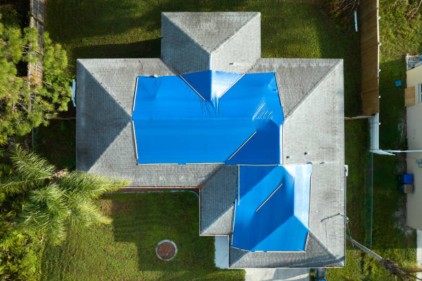 Best Commercial Roofing Services  in Minnehaha, WA