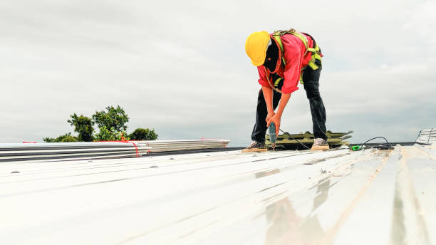 Best Solar Panel Roofing Installation  in Minnehaha, WA