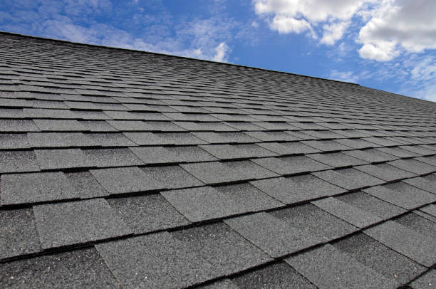 Best Sheet Metal Roofing  in Minnehaha, WA